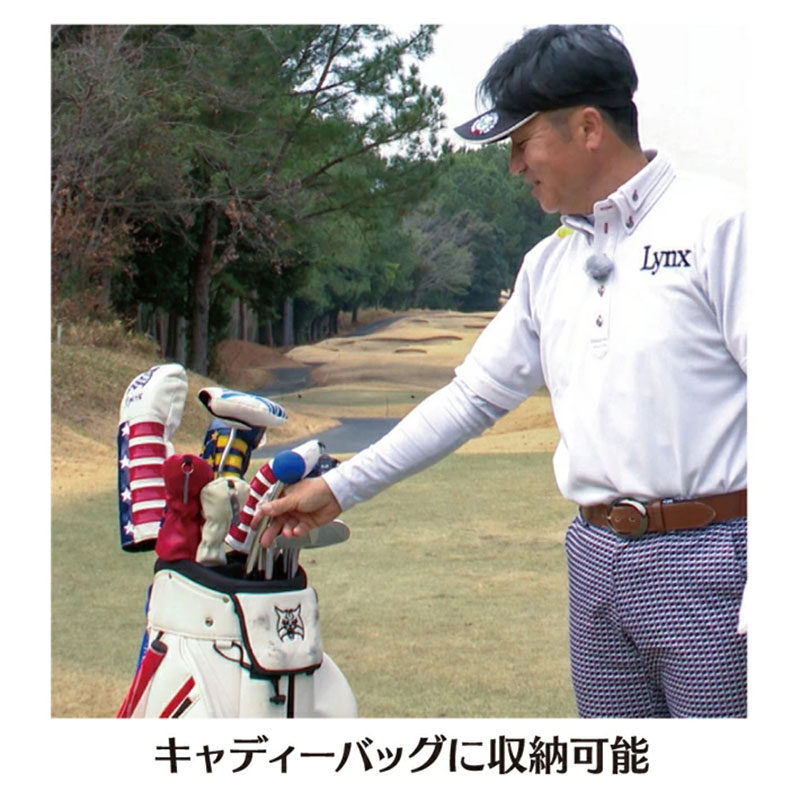 フレループ　ネオ　オールプラス　1本　リンクスゴルフ　スイング練習器　スイング矯正　飛距離アップ　筋力　ヘッドスピードアプ　アプローチ練習　方向性アップ　スポーツ　トレーニング　複合練習機