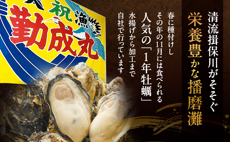 播磨灘産牡蠣使用 牡蠣しょうゆ 2本セット だし醤油 万能調味料 濃厚旨味 かき醤油 和食 料理 お取り寄せ グルメ