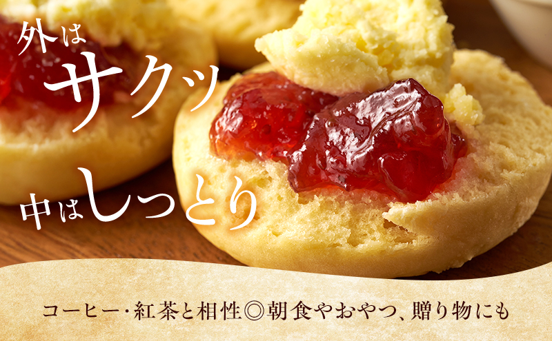 スコーン 詰め合わせ 12個セット 3種類 カシューナッツ レーズン ココア＆チョコ 手作り 焼き菓子