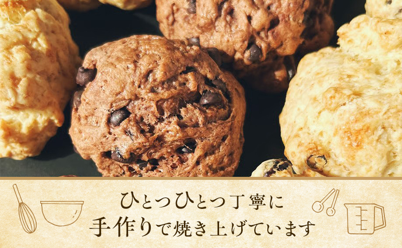 スコーン 詰め合わせ 6個セット 3種類 カシューナッツ レーズン ココア＆チョコ 手作り 焼き菓子