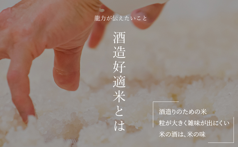 日本酒 受賞多数 大吟醸 龍力 米のささやき 1800ml 地酒 お酒 酒 アルコール 大吟醸酒 辛口 フルーティー フルーティーな香り 山田錦 一升瓶 1800 家飲み YK-35 兵庫 兵庫県 姫路市