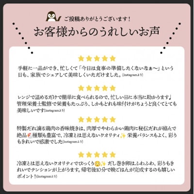 【冷凍惣菜】一幸庵の手作りごちそう惣菜9種セット/手作り・管理栄養士監修【配送不可地域：離島】【1682038】
