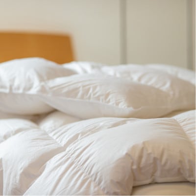 ポーランド産コウダ種マザーグース ダウン95% 薄め冬用羽毛ふとん ワイドキングサイズ【1457459】