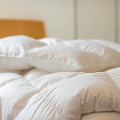 ããŒã©ã³ãç£ã³ãŠãçš®ãã¶ãŒã°ãŒã¹ ããŠã³95% èãå¬çšçŸœæ¯ãµãšã ã¯ã€ãŒã³ãµã€ãºã1457457ã