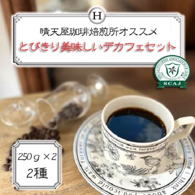 とびきり美味しいデカフェセット　250g×2【1672086】