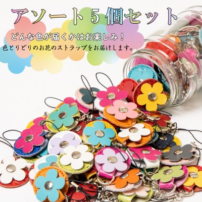 縲占ィウ縺ゅj5蛟九そ繝繝医500蜀邇峨′蜈・繧!縺願干繧偵Δ繝√シ繝輔↓縺励◆迚幃擠繧ケ繝医Λ繝繝 繝ャ繧カ繝シ繧ュ繝シ繝帙Ν繝繝シ縲1678584縲