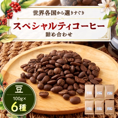 スペシャルティコーヒー100g×6種詰め合わせ(豆)【1357237】
