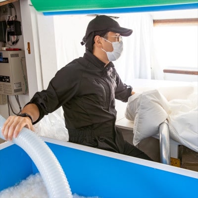 ポーランド産コウダ種マザーグース ダウン95% 薄め冬用羽毛ふとん ワイドキングサイズ【1457459】