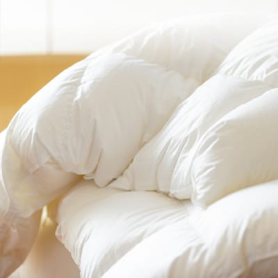 ポーランド産コウダ種マザーグース ダウン95% 冬用羽毛ふとん クイーンサイズ【1457449】