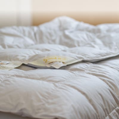 逸品 アイスランド産アイダーダック ダウン98% 夏用肌掛け羽毛ふとん シングルサイズ【1457434】