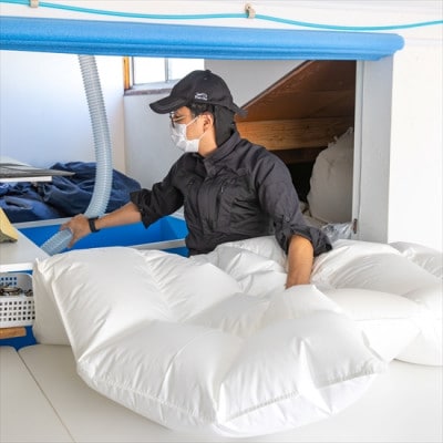 逸品 アイスランド産アイダーダック ダウン98% 春秋用合掛け羽毛ふとん セミダブルサイズ【1457432】