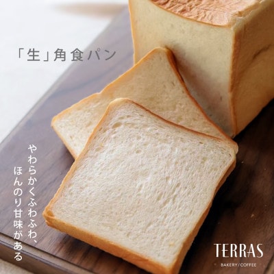 【TERRAS】こだわり食パン食べ比べ&おまかせパン10個セット〈冷凍〉【配送不可地域：離島】【1519931】