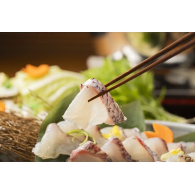 山崎真鯛しゃぶしゃぶ約2〜3人前　〆の蓮根麺つき【配送不可地域：離島・北海道・沖縄県・東北・関東・九州】【1228931】