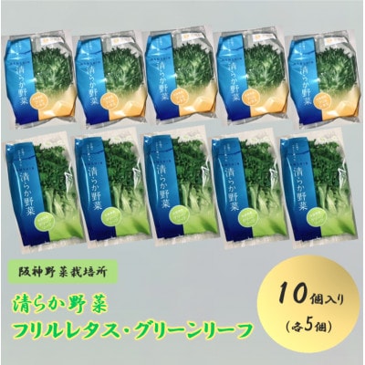 清らか野菜　フリルレタス・グリーンリーフ　10個入り(各5個)【1587981】