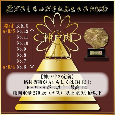 èš³ãã ç¥æžç åãèœãšãè 400g AGS1 ã2026幎4æããé æ¬¡çºéããé
éäžå¯å°åïŒé¢å³¶ãã1682370ã