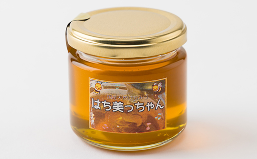 天然はちみつ「はち美っちゃん」　百花蜜　150g×4個【1590820】