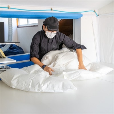 逸品 アイスランド産アイダーダック ダウン98% 夏用肌掛け羽毛ふとん ダブルサイズ【1457436】