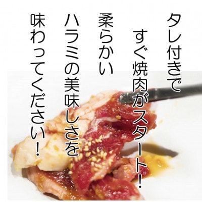 お肉屋さんオリジナル自家製ハラミダレ800g【配送不可地域：離島】【1357085】