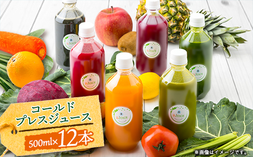 コールドプレスジュース2デイクレンズラージサイズ(500ml×12本セット)冷蔵品【配送不可地域：離島】【1511549】