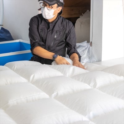 ポーランド産コウダ種ホワイトグース ダウン93% 薄め冬用羽毛ふとん クイーンサイズ【1457471】