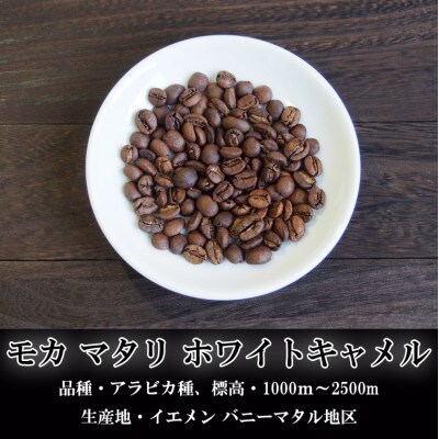 【KAFFEE　FIKA焙煎】スペシャルティコーヒー豆詰め合わせ 200g×3パック〈豆のまま〉【1363545】