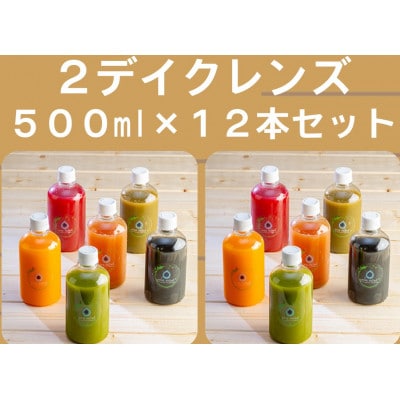 コールドプレスジュース2デイクレンズラージサイズ(500ml×12本セット)冷蔵品【配送不可地域：離島】【1511549】