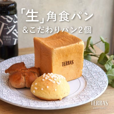 「生」角食パン&こだわりパン2個セット【配送不可地域：離島】【1581687】