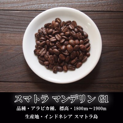 【KAFFEE　FIKA焙煎】スペシャルティコーヒー豆詰め合わせ 200g×3パック〈豆のまま〉【1363545】