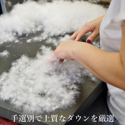 逸品 ポーランド産「スーペリア」コウダ種マザーグース ダウン98% 冬用 羽毛布団 セミダブルサイズ【1701060】
