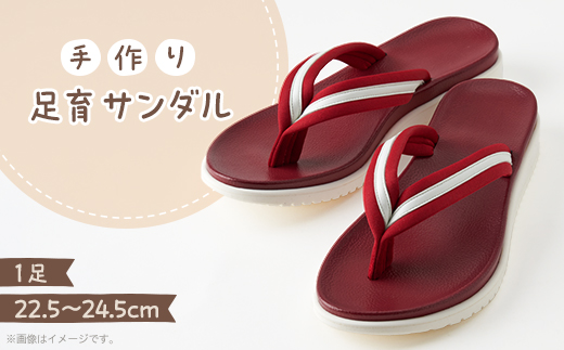 足育サンダル【1239769】