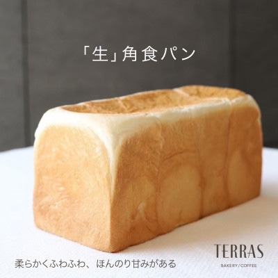 【TERRAS】こだわり「生」角食パン1本(2斤)〈冷凍〉【配送不可地域：離島】【1531658】