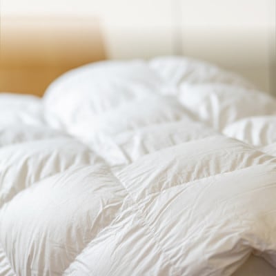 ããŒã©ã³ãç£ã³ãŠãçš®ãã¯ã€ãã°ãŒã¹ ããŠã³93% èãå¬çšçŸœæ¯ãµãšã ã¯ã€ããã³ã°ãµã€ãºã1457474ã