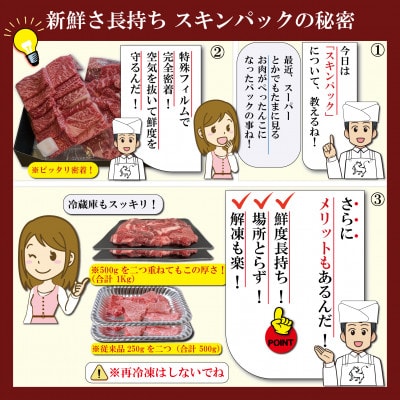 神戸牛 焼肉用セット 計1Kg AGYS5 【2026年4月より順次発送】【配送不可地域：離島】【1682470】