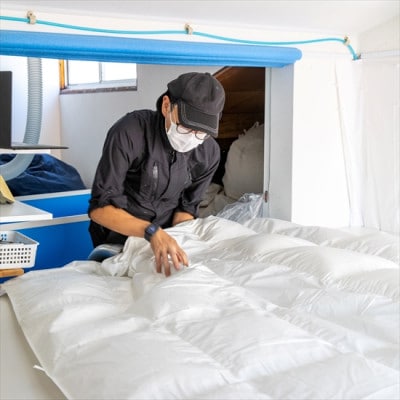 ポーランド産コウダ種ホワイトグース ダウン93% 冬用羽毛ふとん クイーンサイズ【1457464】