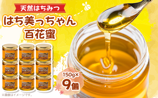 天然はちみつ「はち美っちゃん」　百花蜜　150g×9個【1590823】