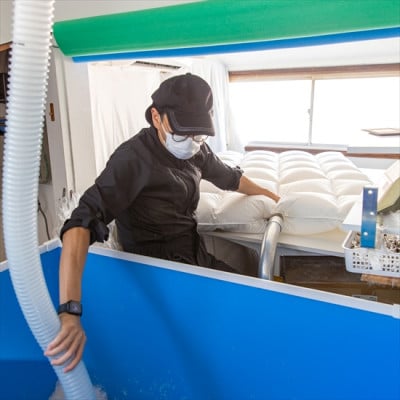 ポーランド産コウダ種マザーグース ダウン95% 冬用羽毛ふとん クイーンサイズ【1457449】