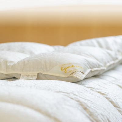 逸品 アイスランド産アイダーダック ダウン98% 冬用羽毛ふとん セミダブルサイズ【1457428】