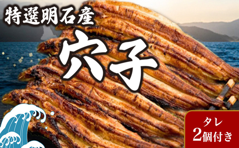 特選明石産炭焼き穴子（タレ2個付き） うなぎ 鰻 魚貝類 加工食品