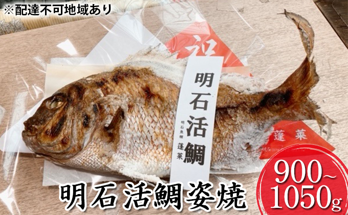 明石活鯛姿焼 900～1050g[ 明石鯛 鯛 焼鯛 祝い鯛 お祝い ] 魚貝類 たい タイ 魚 加工食品 お食い初め 行事