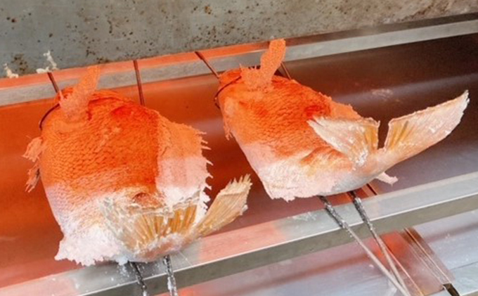 明石活鯛姿焼 1100～1200g[ 明石鯛 鯛 焼鯛 祝い鯛 お祝い ] 魚貝類 タイ 加工食品 厳選 贅沢 レンジ お鍋 アヒージョ 