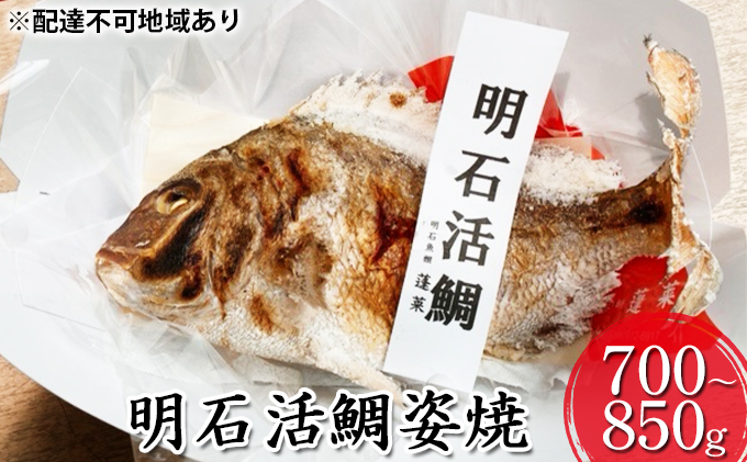 明石活鯛姿焼 700～850g[ 明石鯛 鯛 焼鯛 祝い鯛 お祝い ] 魚貝類 タイ 加工食品 厳選 贅沢 レンジ お鍋 アヒージョ