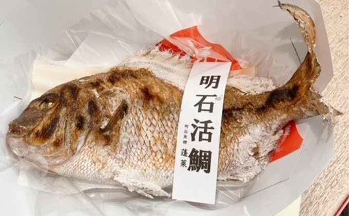 明石活鯛姿焼 500～650g[ 明石鯛 鯛 焼鯛 祝い鯛 お祝い ] 魚貝類 タイ 加工食品 厳選 贅沢 レンジ お鍋 アヒージョ 