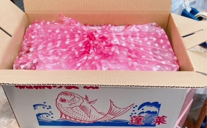 明石活鯛姿焼 700～850g[ 明石鯛 鯛 焼鯛 祝い鯛 お祝い ] 魚貝類 タイ 加工食品 厳選 贅沢 レンジ お鍋 アヒージョ 