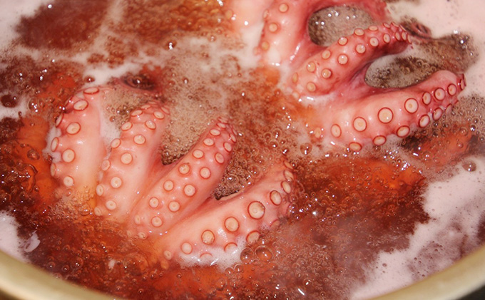 明石だこ やわらか煮 ・ 湯だこ セット[ 明石たこ 食べ比べ ボイルたこ 煮だこ 蛸 ] 魚貝類 海の幸 海鮮 身 甘い 弾力 食感 酢の物 天ぷら 明石焼 タコ焼き 食材 タコ飯 つまみ 肴 マリネ アヒージョ 国産 日本産 