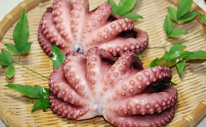 明石だこ やわらか煮 ・ 湯だこ セット[ 明石たこ 食べ比べ ボイルたこ 煮だこ 蛸 ] 魚貝類 海の幸 海鮮 身 甘い 弾力 食感 酢の物 天ぷら 明石焼 タコ焼き 食材 タコ飯 つまみ 肴 マリネ アヒージョ 国産 日本産 