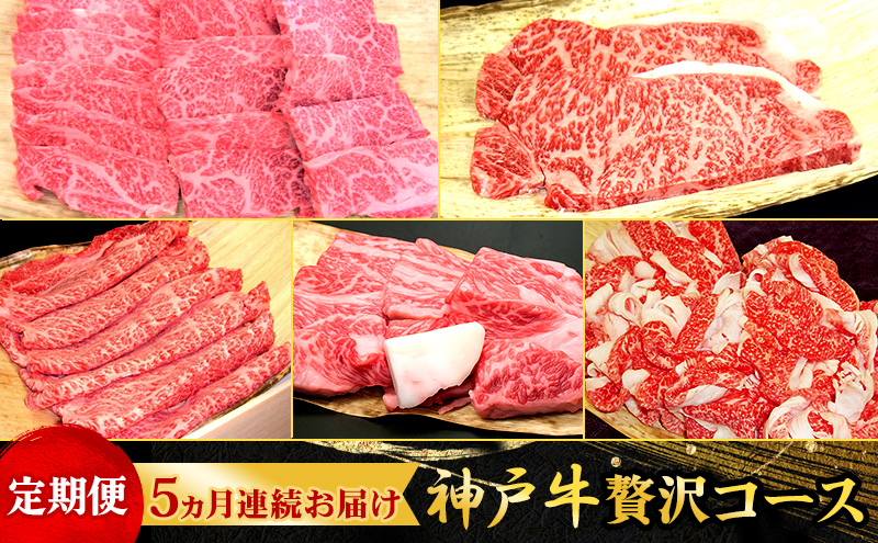 定期便 神戸牛 贅沢コース 5ヵ月連続お届け[ 肉 食べ比べ すき焼き ステーキ 焼肉 切落し 牛肉 ]