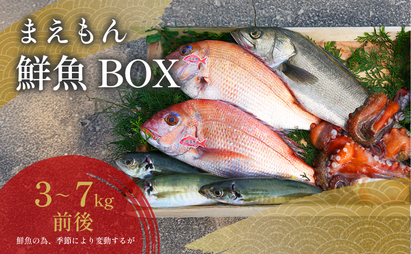 まえもん鮮魚BOX 魚介類 魚貝類 セット 詰め合わせ