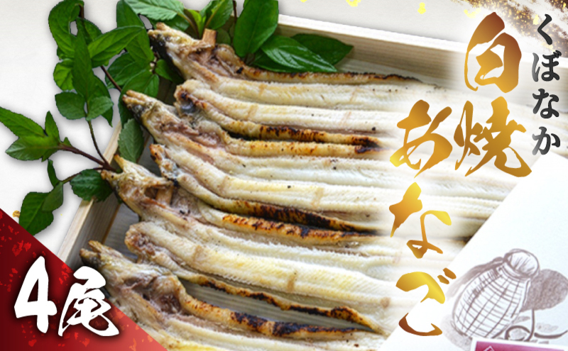 『くぼなか』白焼あなご4尾 魚貝類
