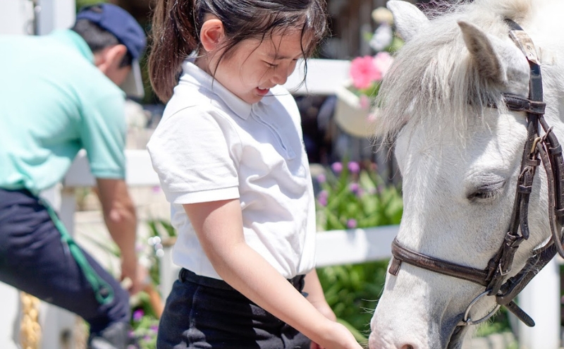 明石乗馬協会 ポニー 乗馬 ごほうびセット 3枚 体験 チケット えさやり おやつ お子様 子ども 子供 ヘルメット 