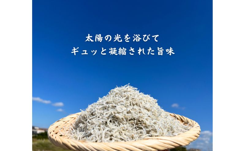 ほんまにうまい 明石前浜セット 魚貝類 タコ ちりめん 